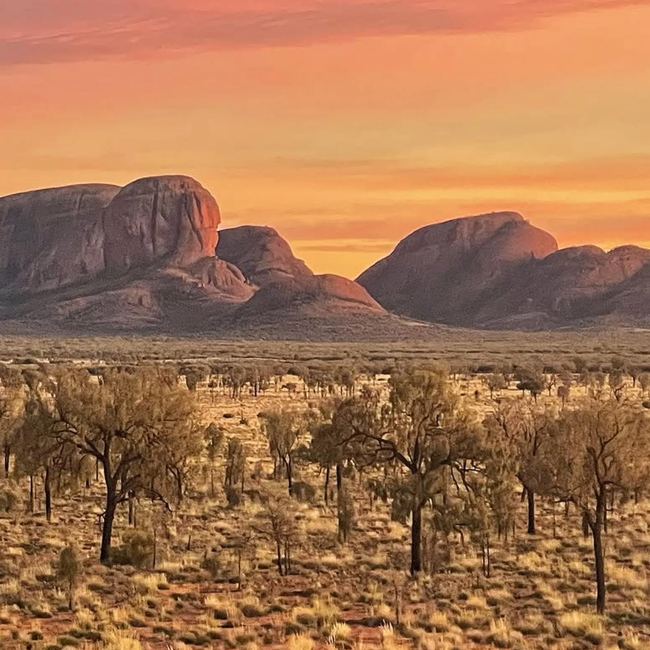 kata tjuta at sunrise
