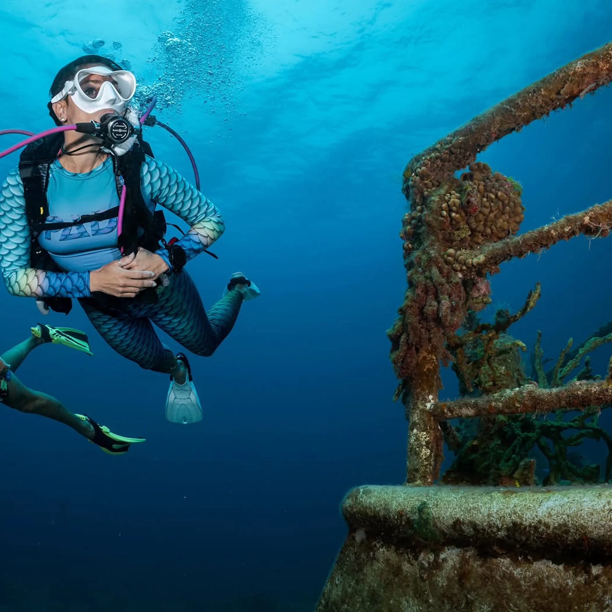 underwater view of coral reef