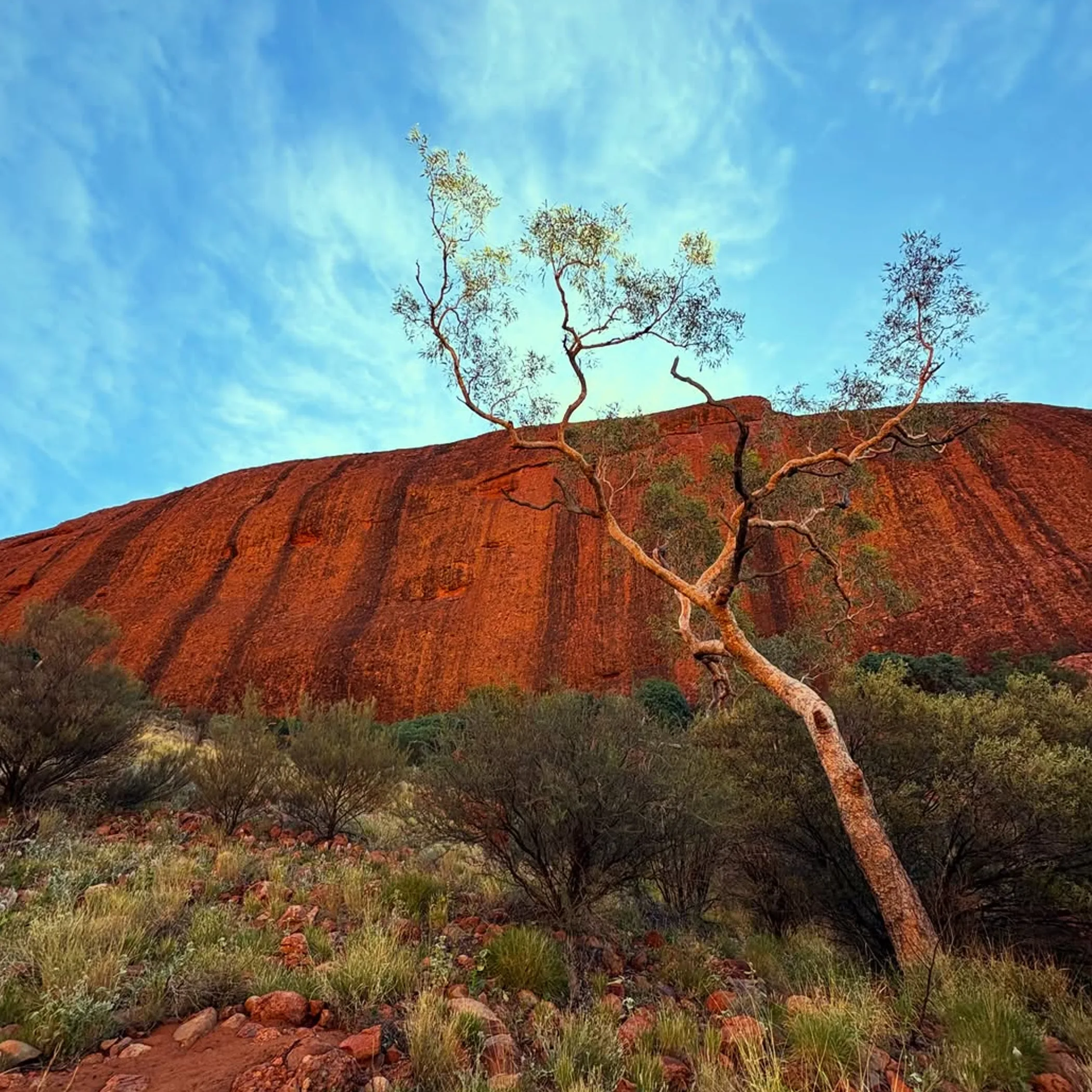 uluru rock formation with natural surroundings