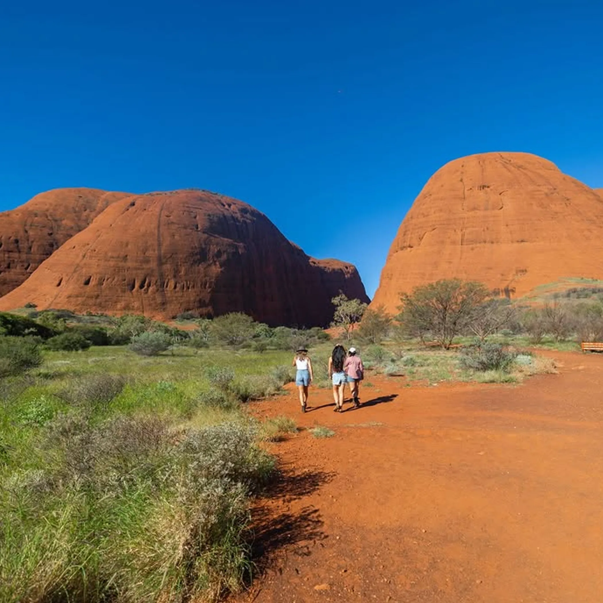 hikers exploring kata tjuta landscape